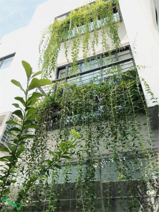 🏡 Bán nhà Nguyễn Tri Phương, Q.10, lô góc nở hậu, khu VIP, 8.x tỷ! - Ảnh 3